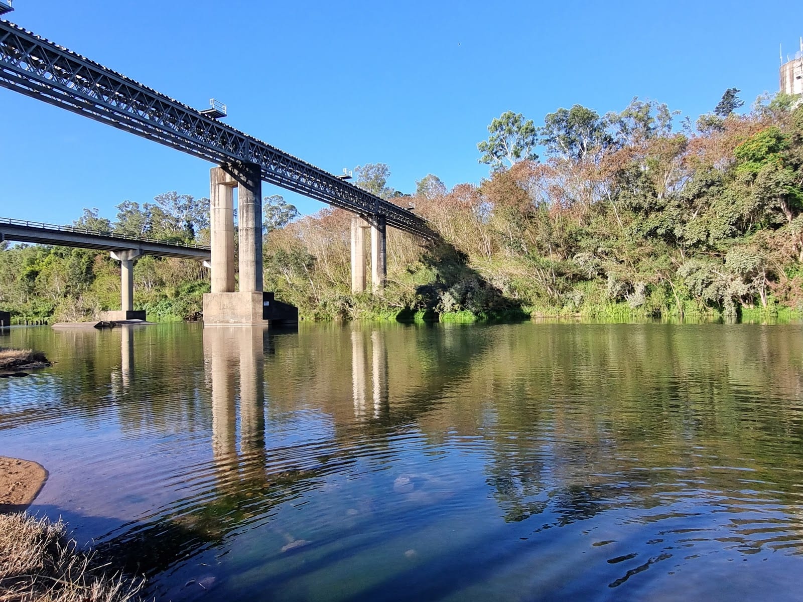 Platypus Beach