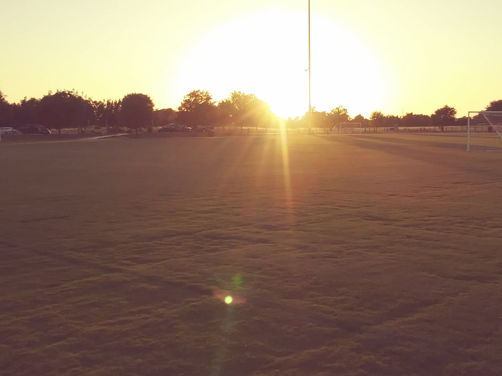 Old Settlers Hall Of Fame Fields