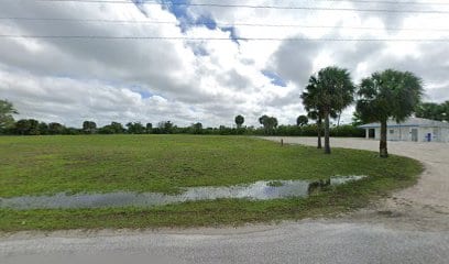 Higgs Park