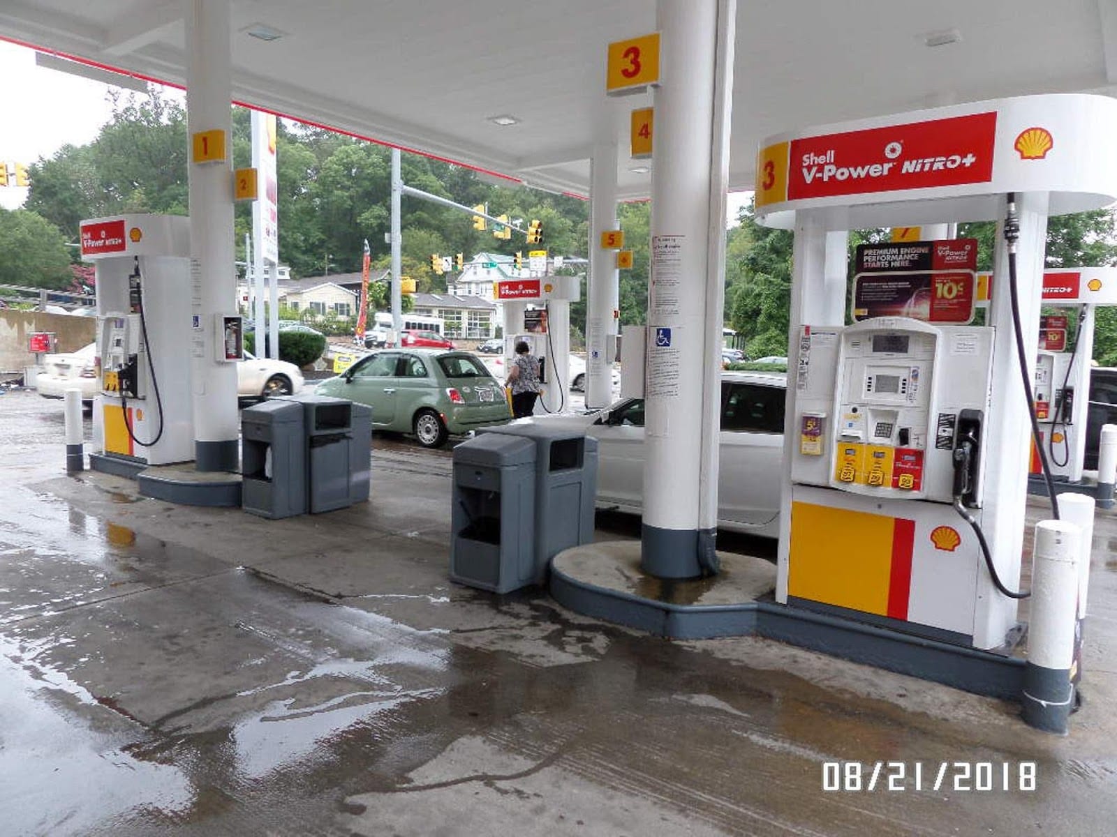 Shell, photo 2