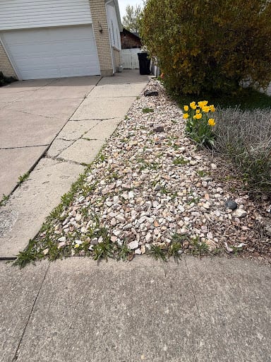 Dr Green's Lawn Care, photo 2