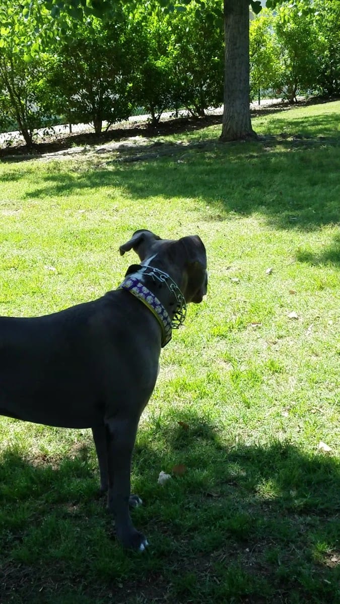Four Paws Park, photo 2