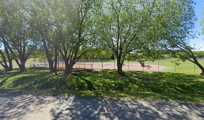 Centennial Park Diamond #1