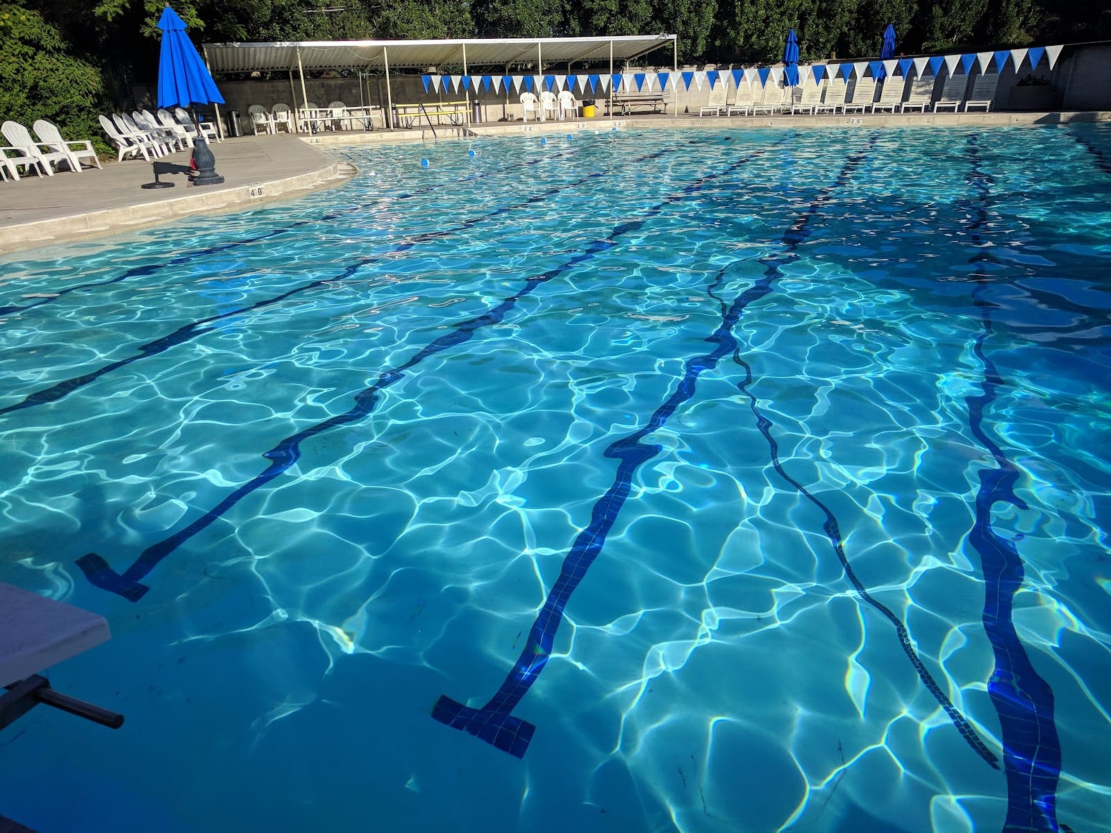Northcrest Swim Club, photo 2