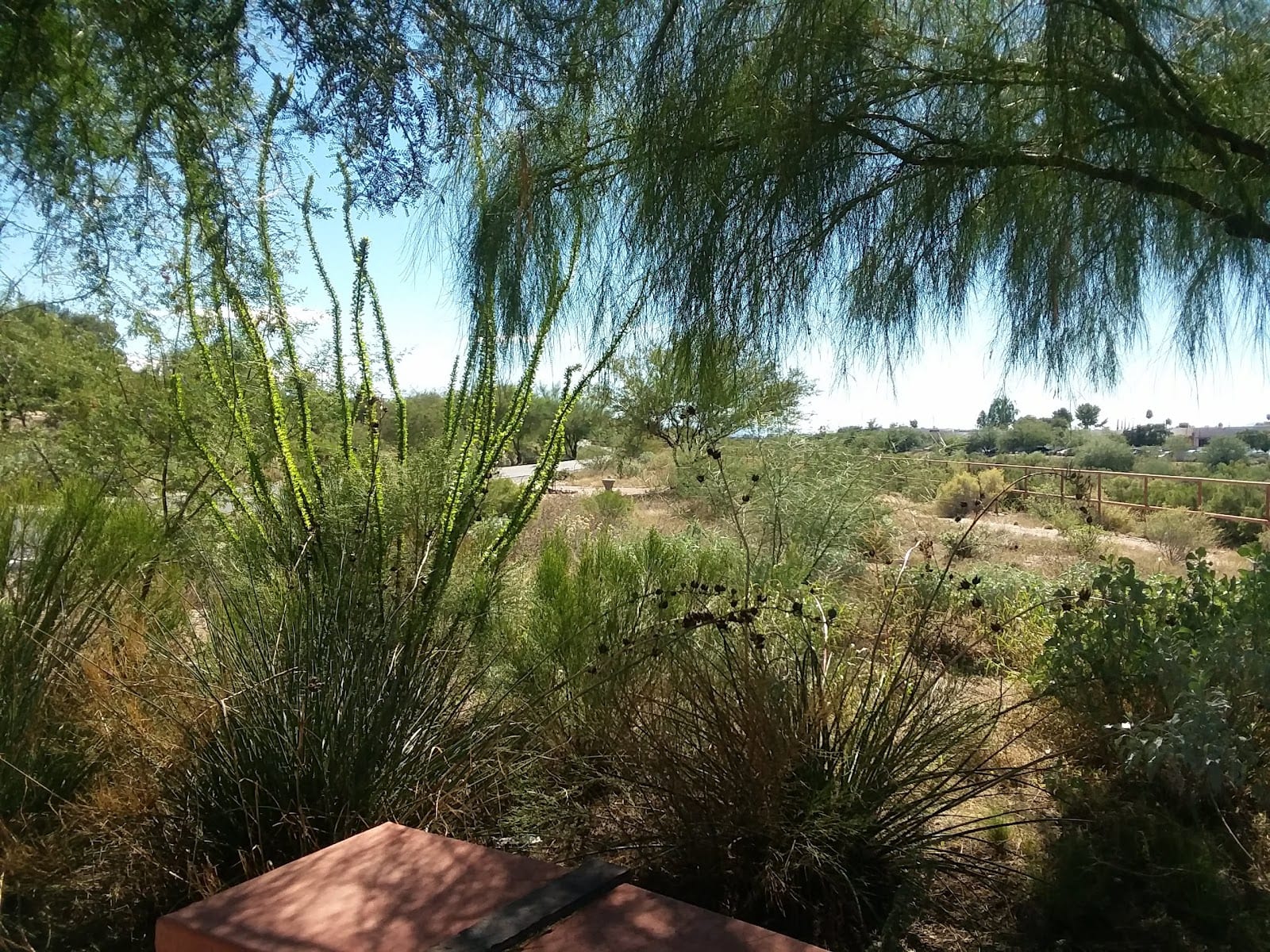 Pantano River Path