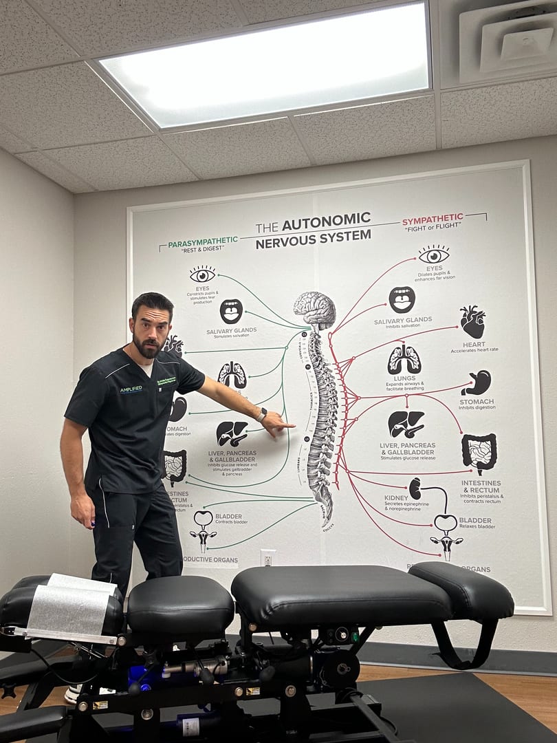 Amplified Chiropractic and Wellness, photo 3