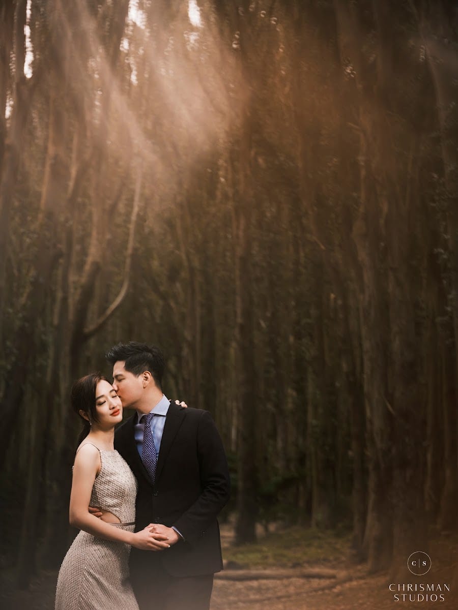 Lovers’ Lane at the Presidio