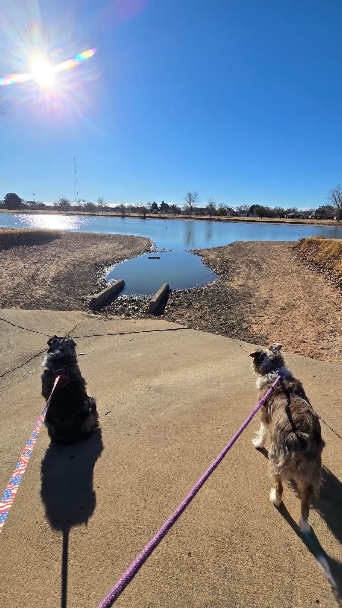 McCullough Park