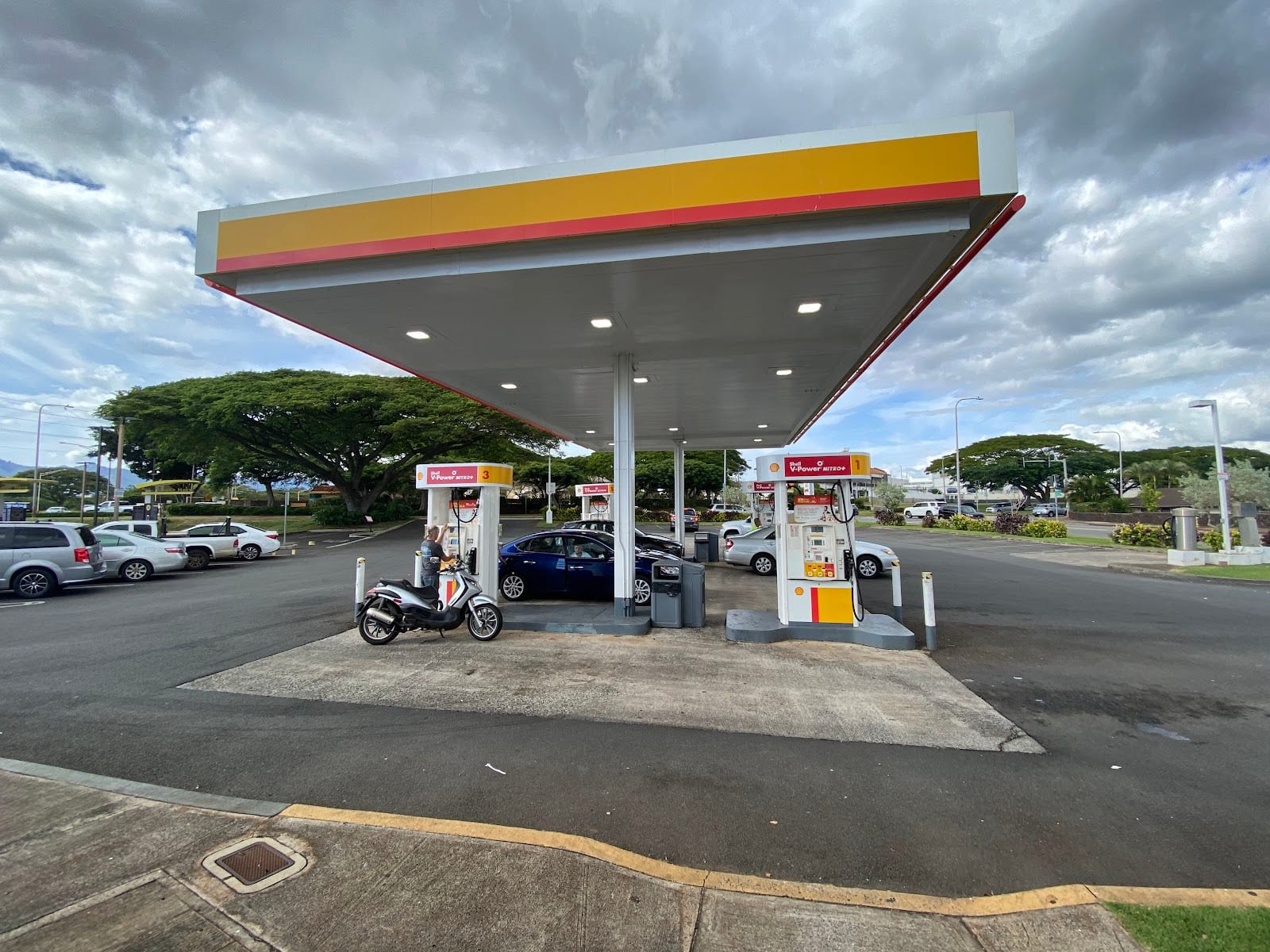 Shell, photo 2