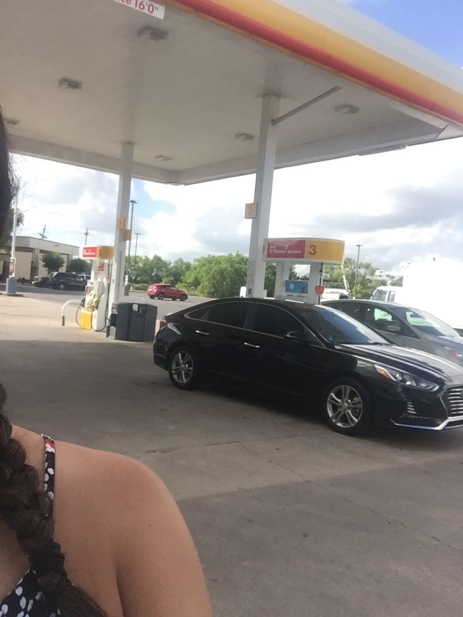 Shell, photo 4