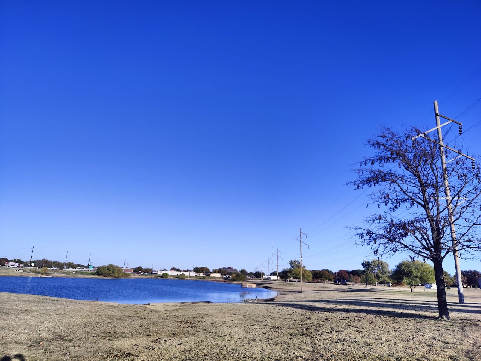 Bill & Ann Miller Park
