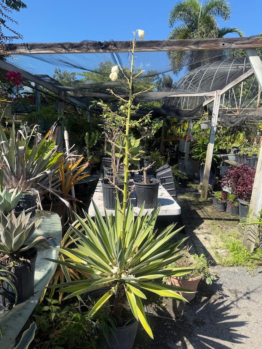 Powell Nursery & Landscaping, photo 2