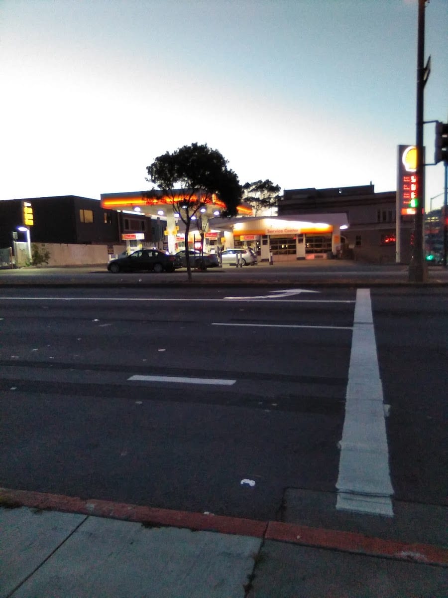 Shell, photo 3