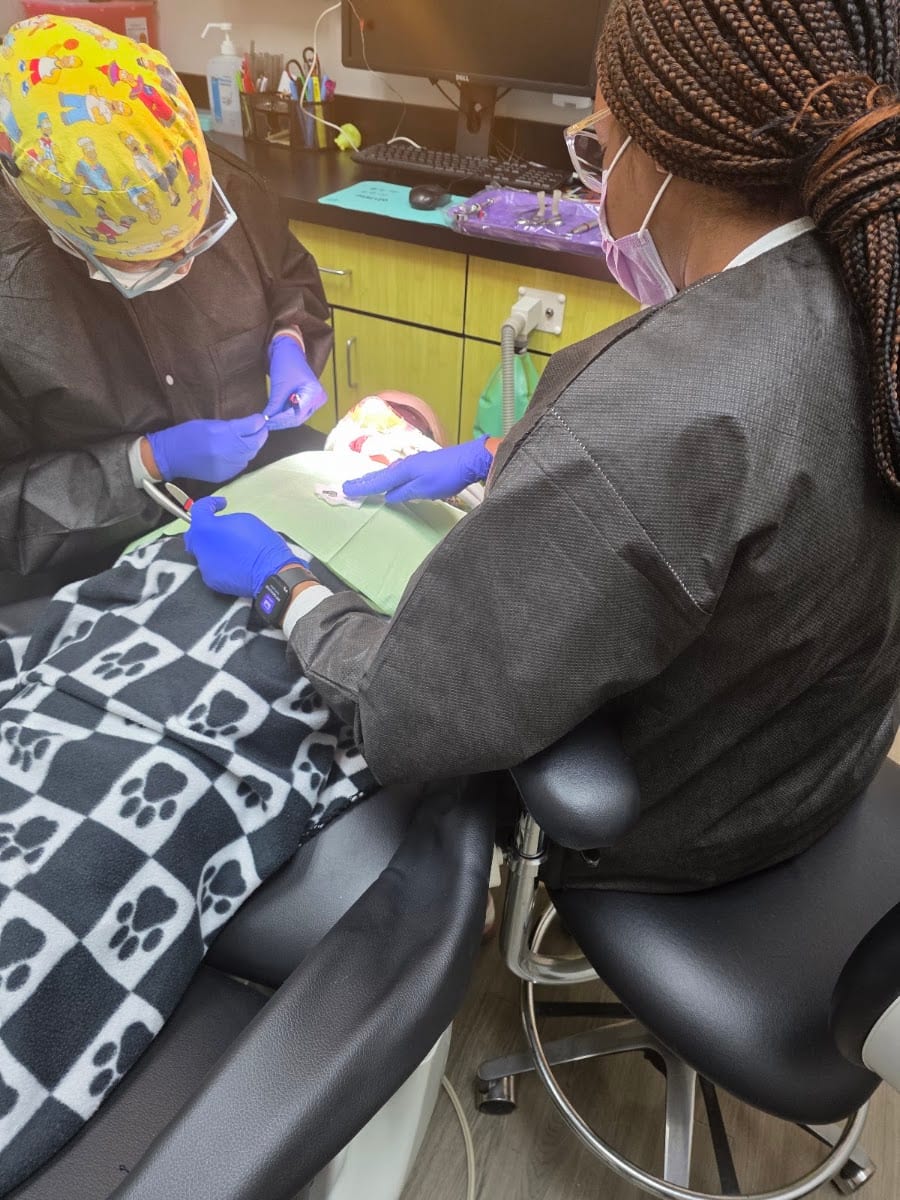 Kid's Dentistree