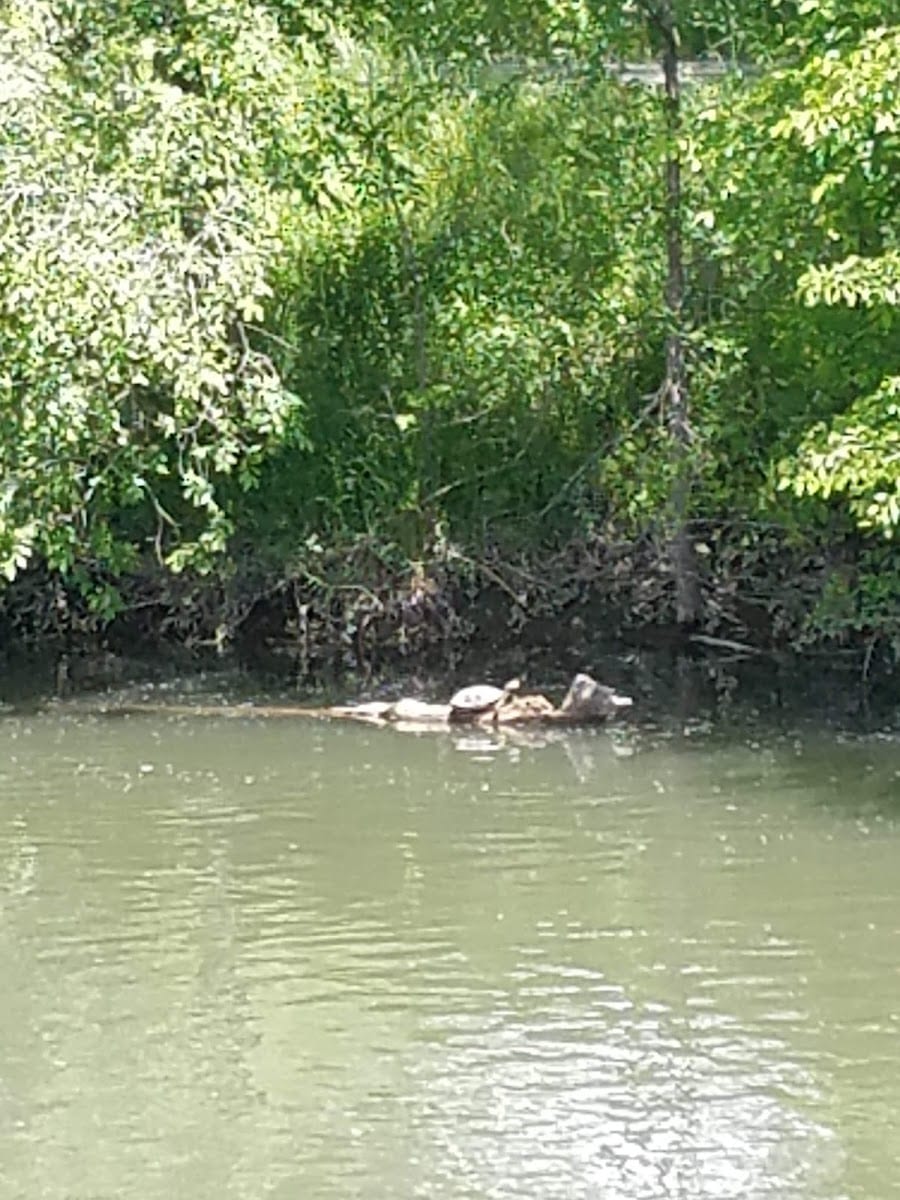 Jordan River Parkway Trail, photo 3