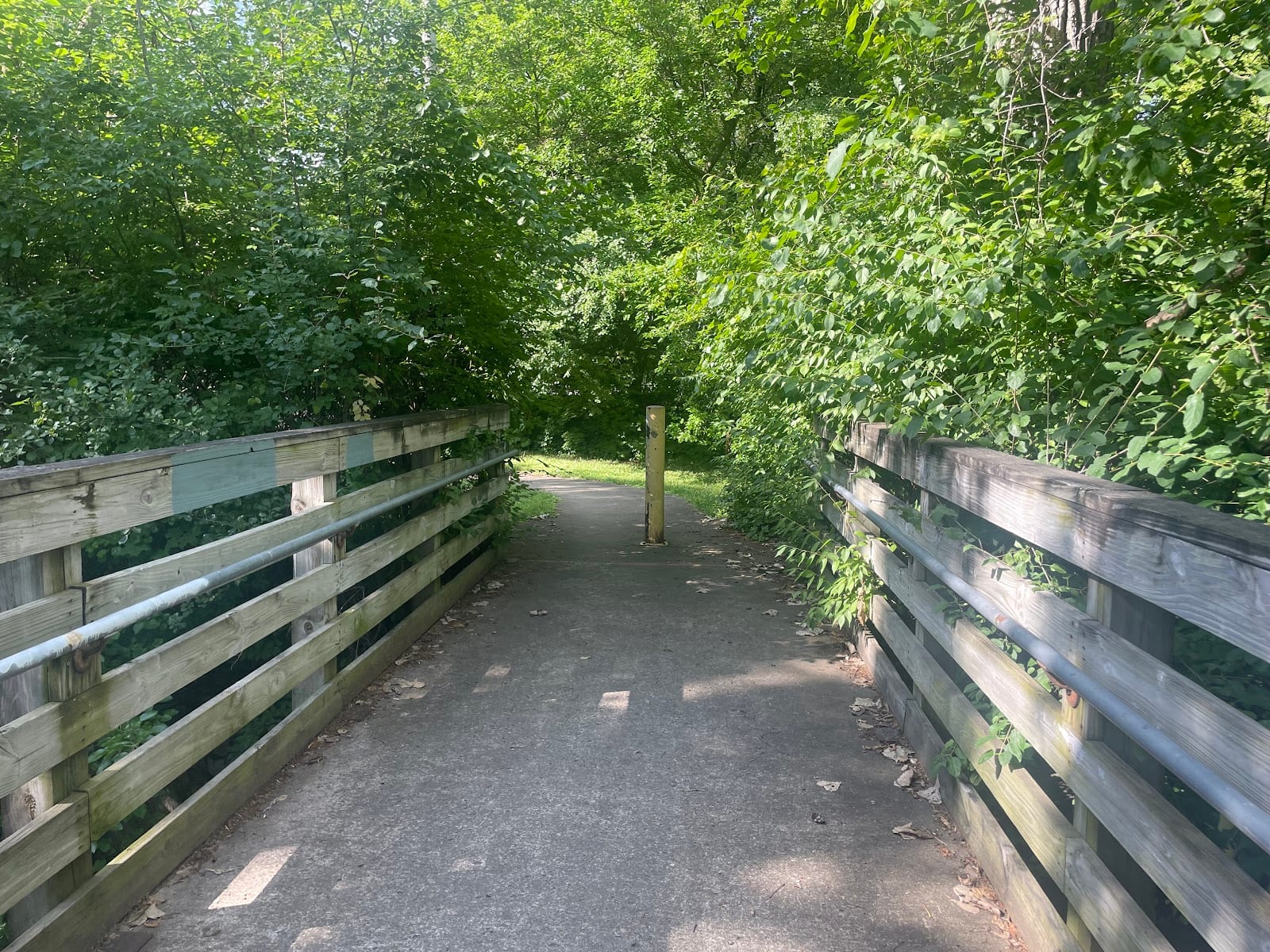 Vesey park