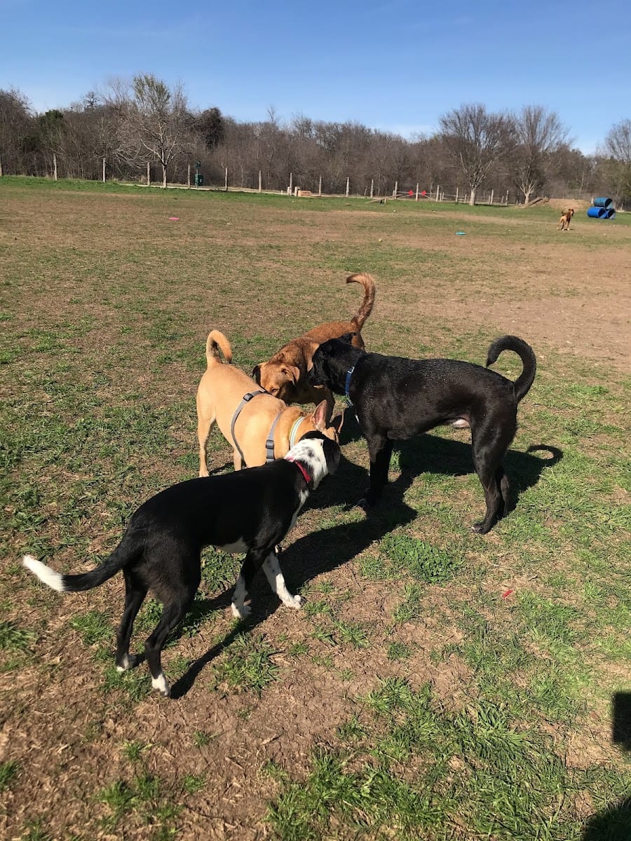 Round Rock Dog Depot