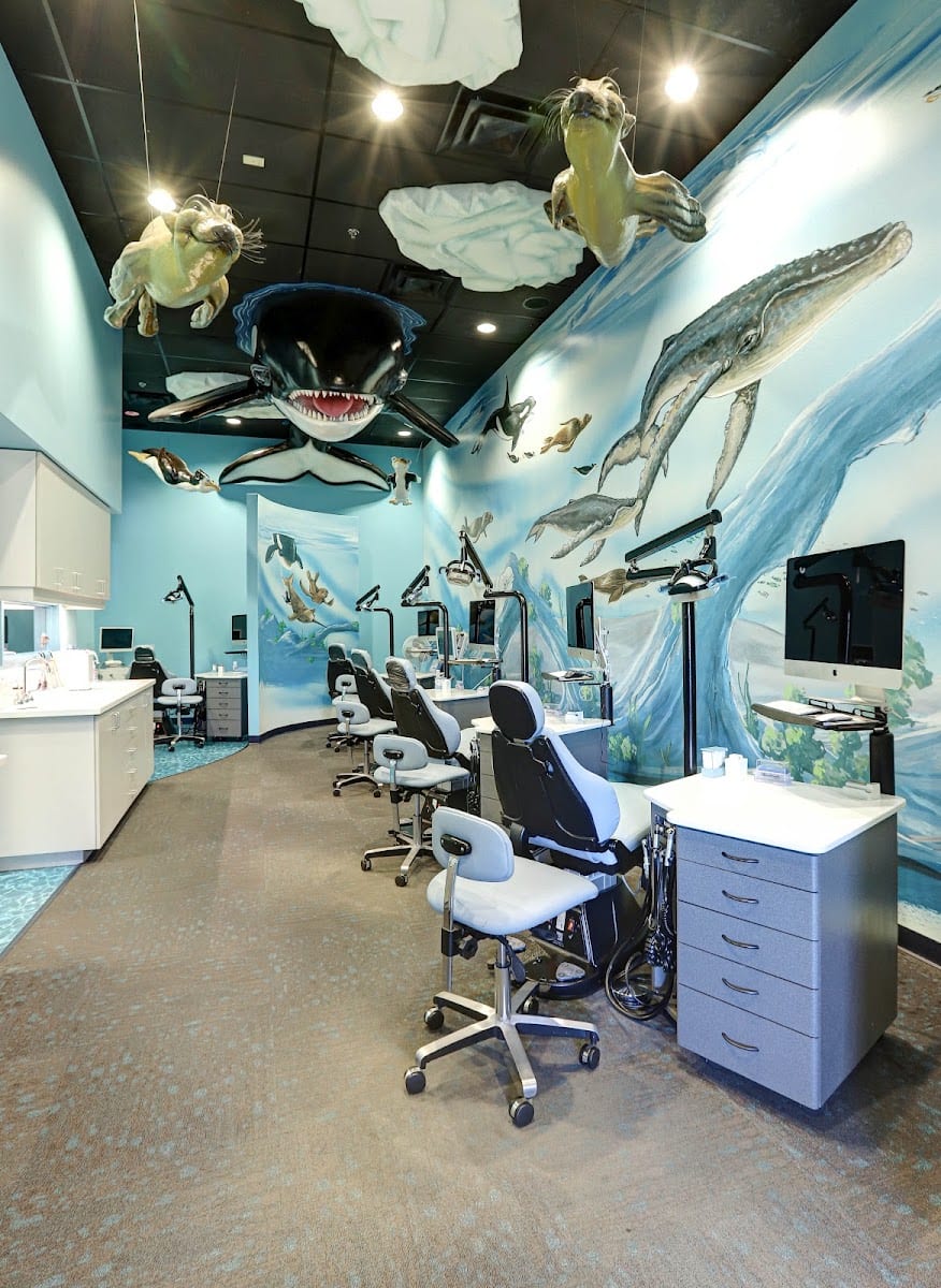 Arctic Smiles Orthodontics