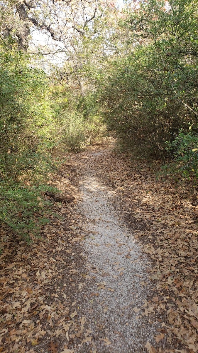 Fletcher Branch