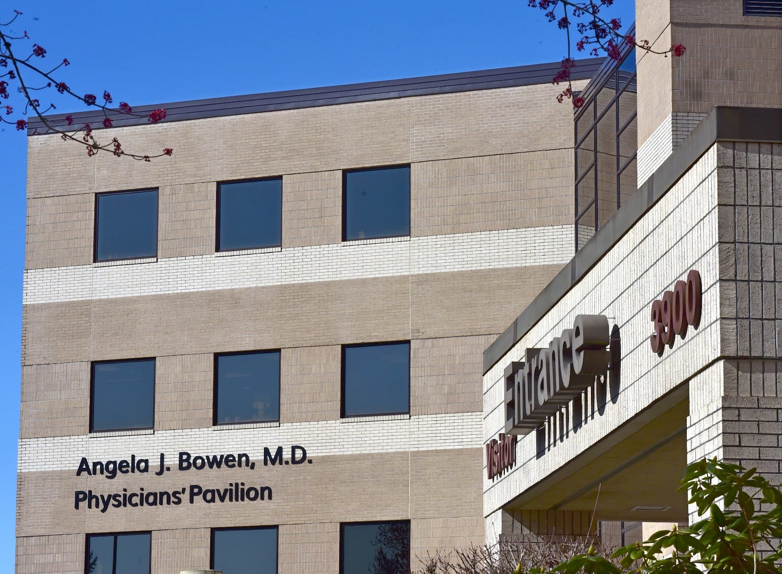 MultiCare Infectious Disease Specialists - Capital Medical Center Pavilion