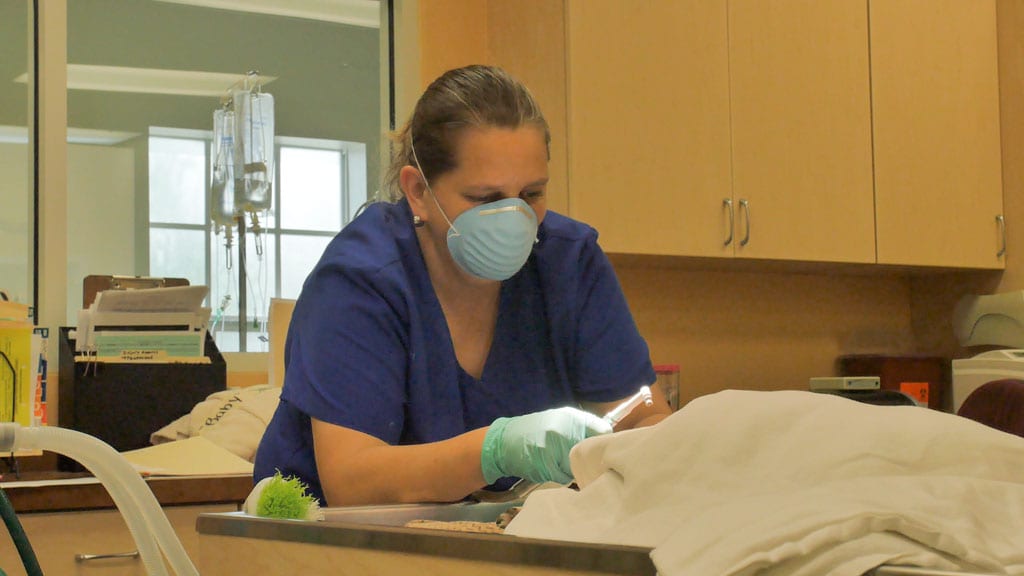 Charlotte Animal Hospital