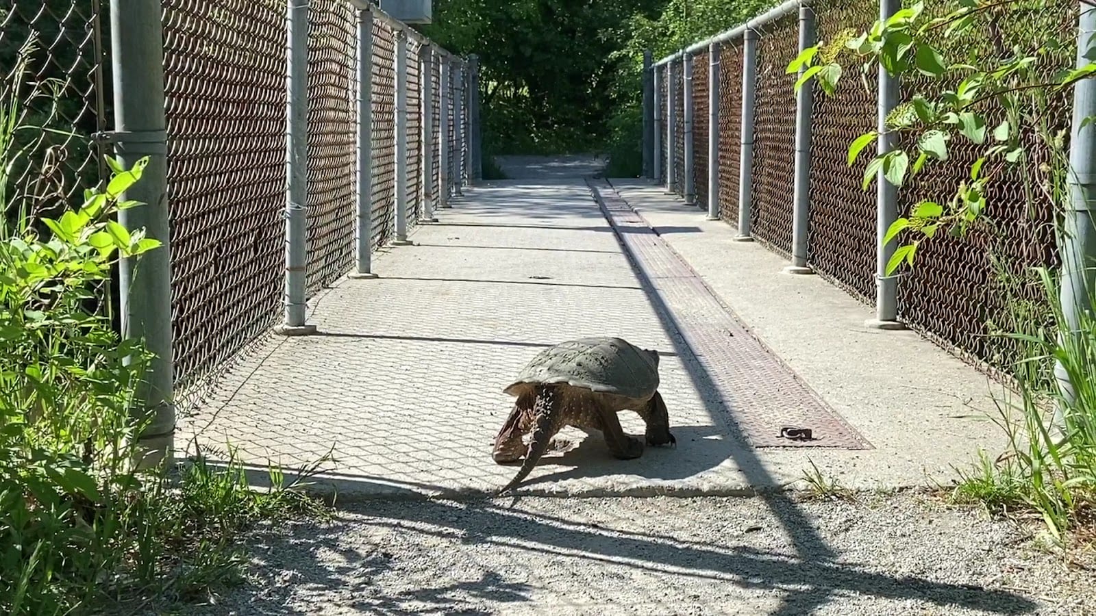 Channel Gate Parkette, photo 2