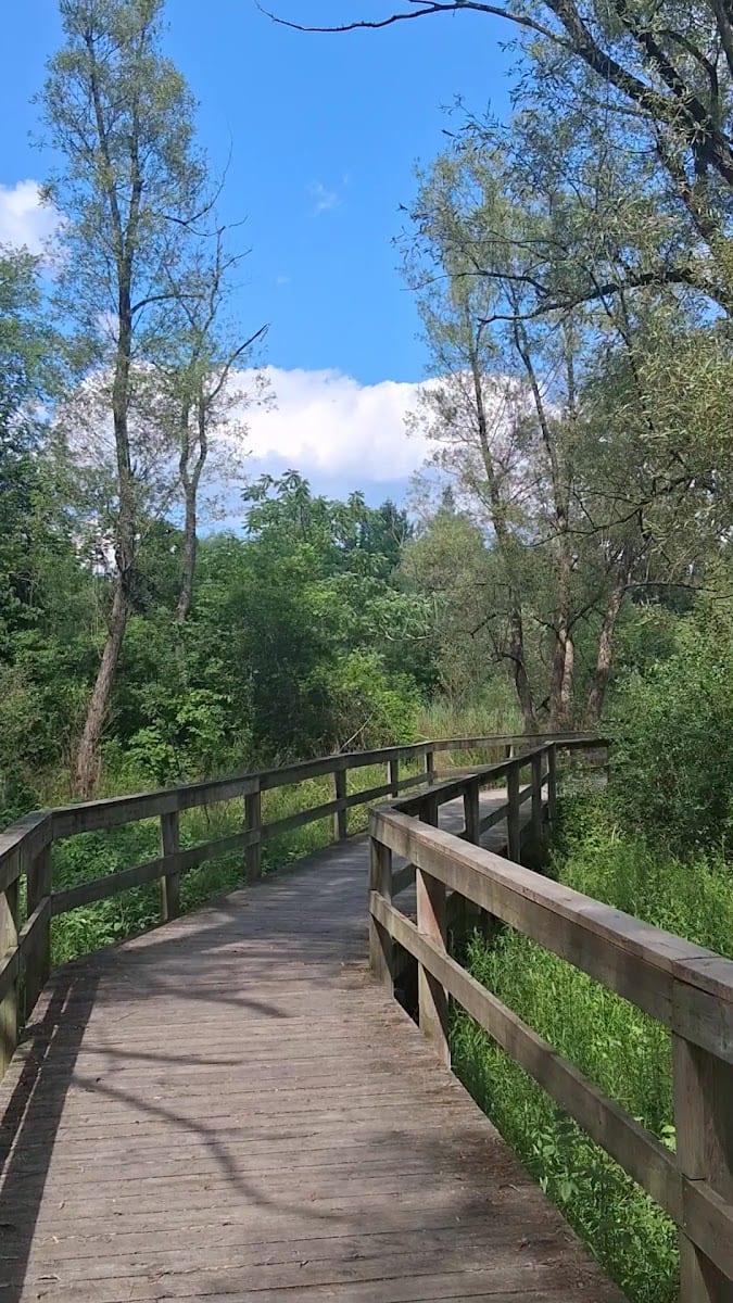 Saigeon Trail, photo 2