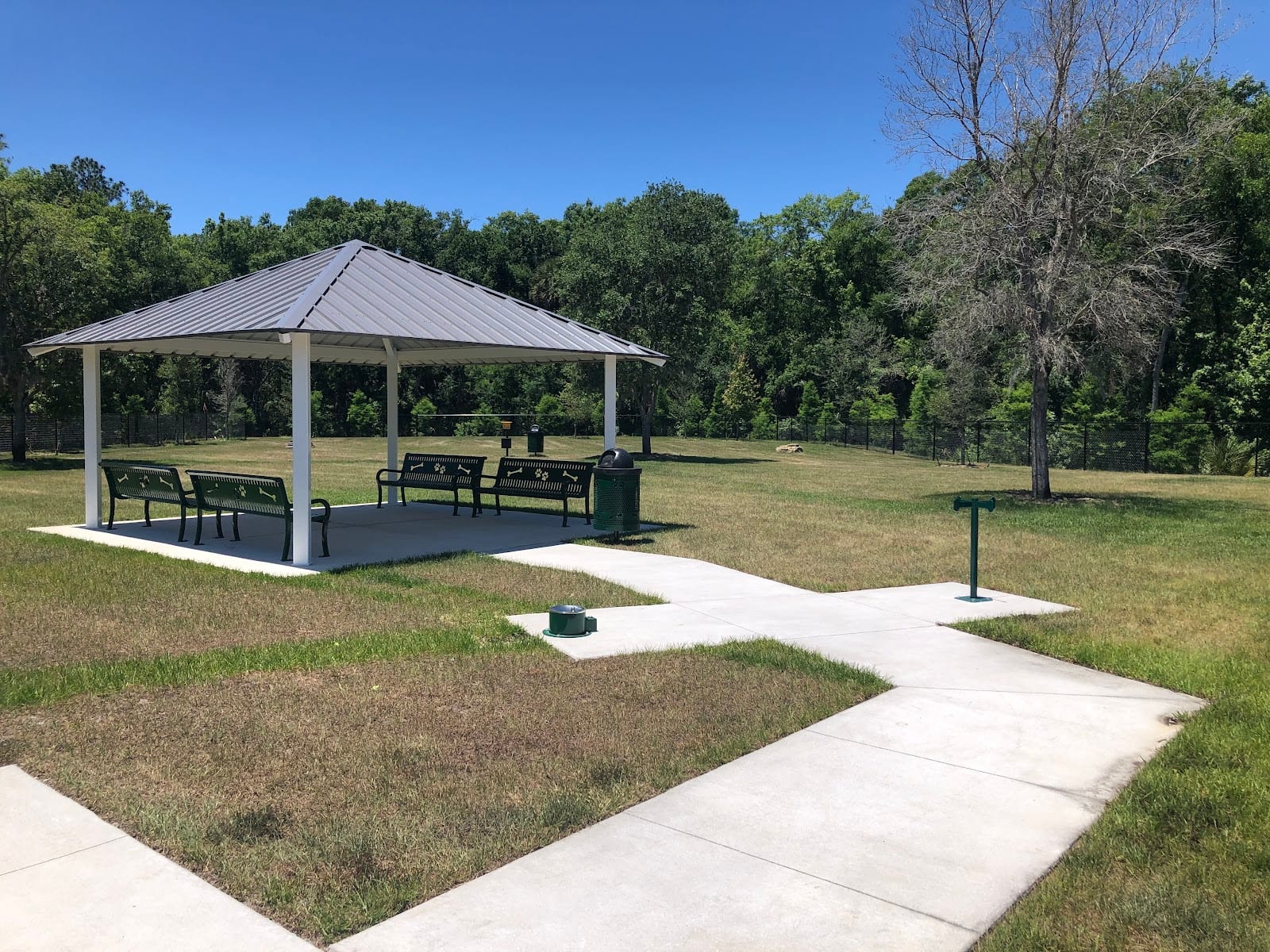 New Tampa Dog Park