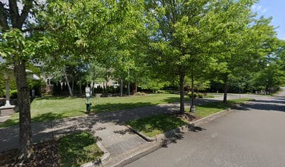 Briggs Village Community Park