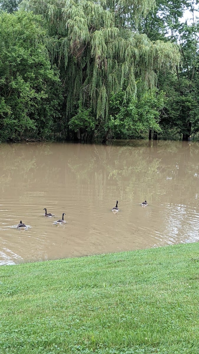 Swinney Park