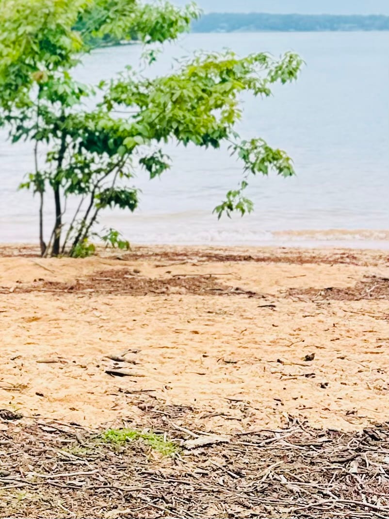 Persimmon Beach, photo 2