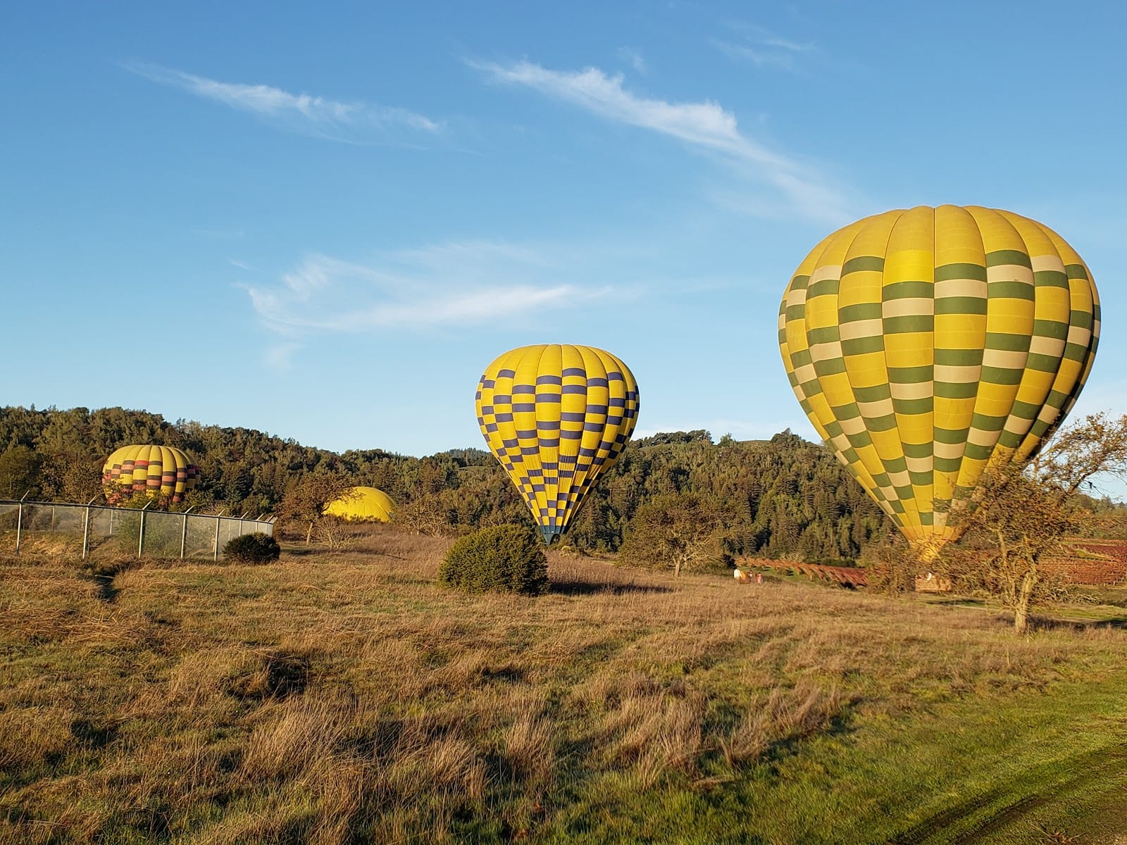 Dry Creek Park, photo 2