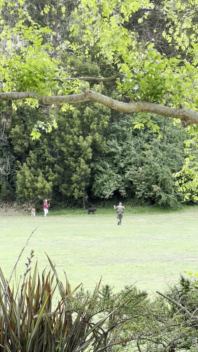 Glen Park Playground, photo 2