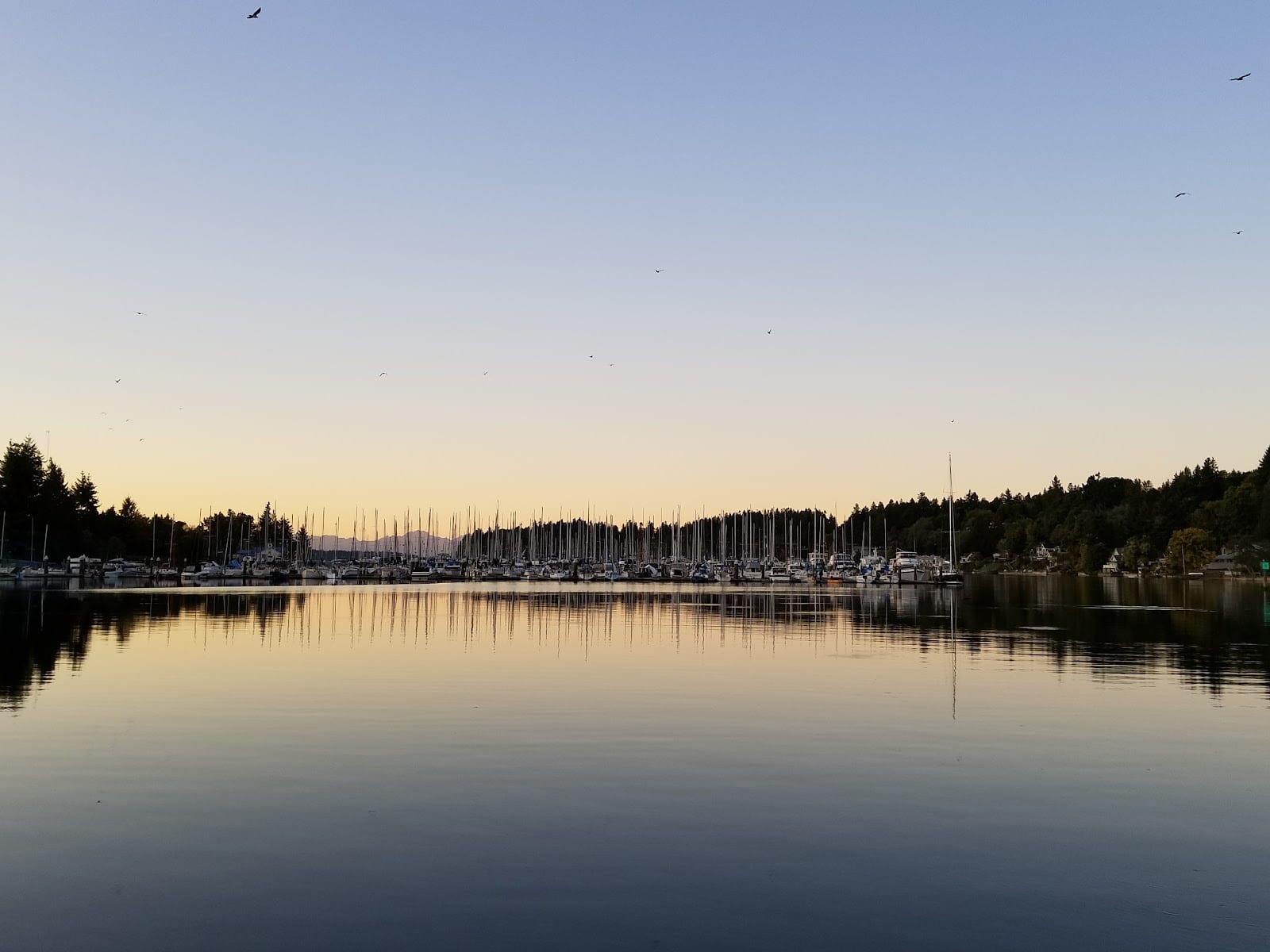 Bigelow Springs Park, photo 2