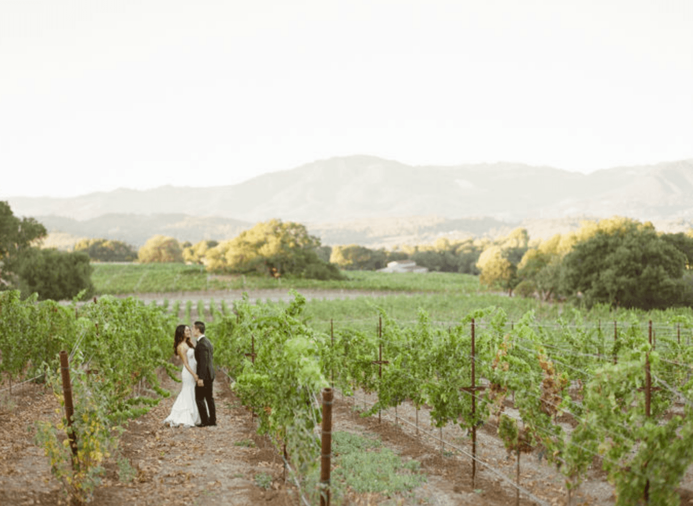 Distinct Locations, Wine Country Event & Wedding Venues, photo 3