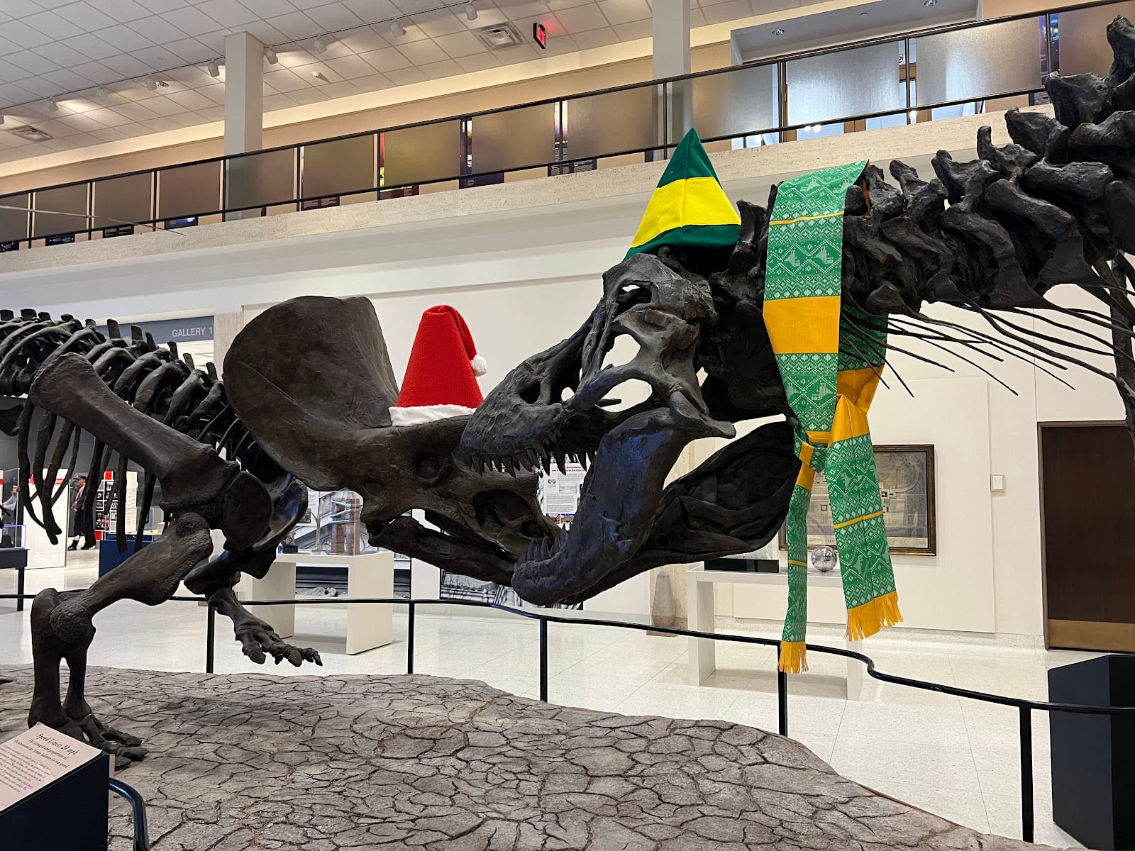 Helen DeVitt Jones Sculpture Court and Event Center
