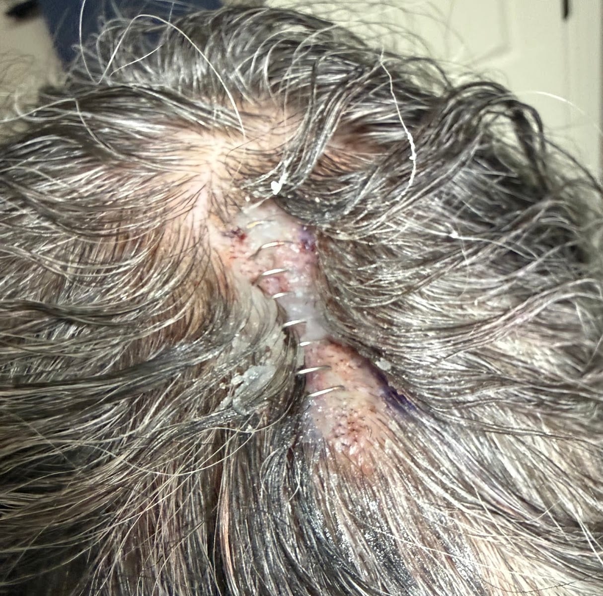 MODERN Dermatology, photo 3