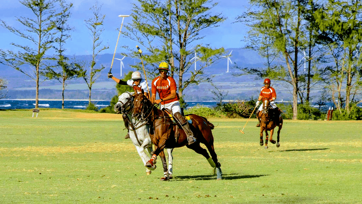 Hawaii Polo Club, photo 2