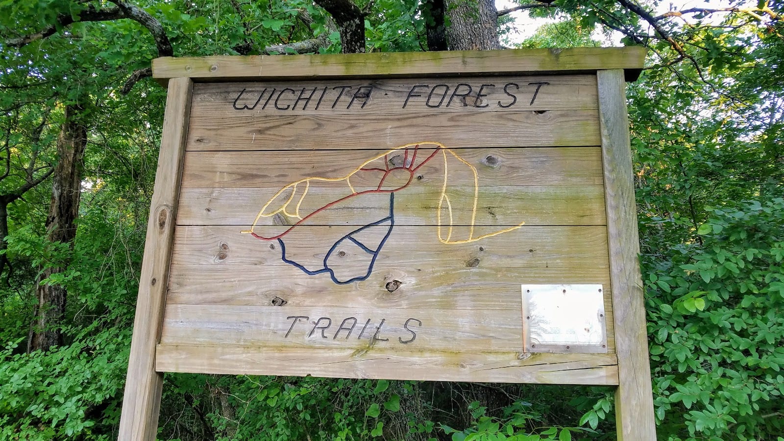 Wichita Forest