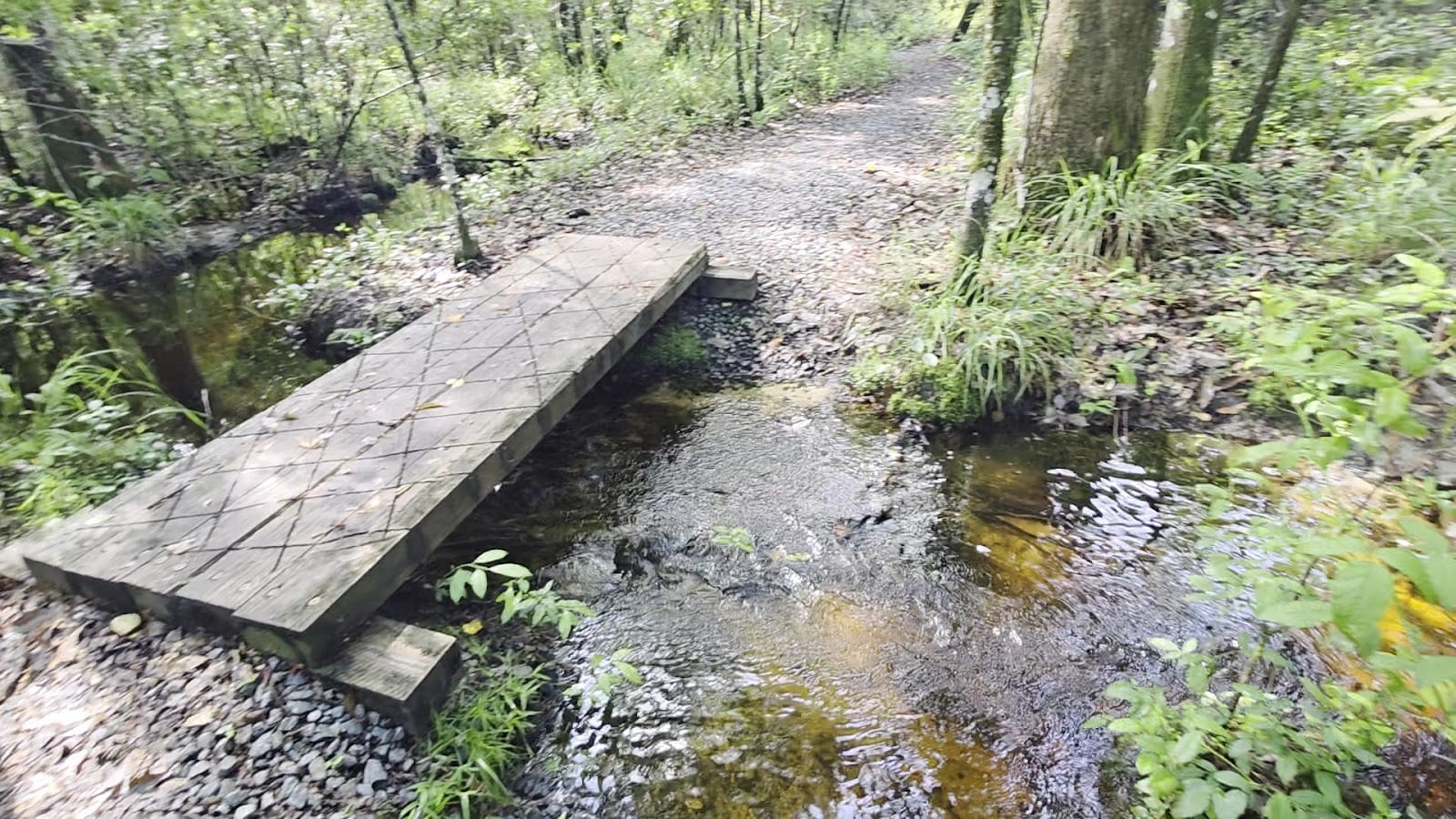 Old Jennings Recreation Area, photo 2
