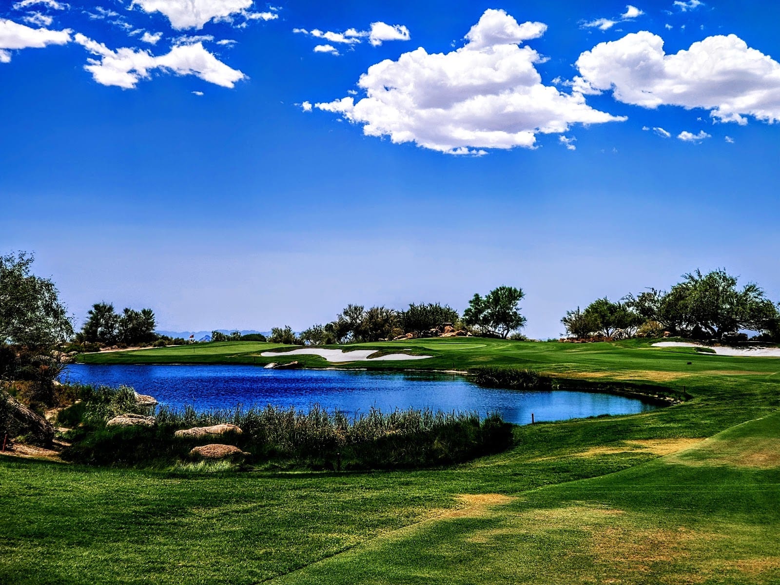 The Mirabel Club, photo 4
