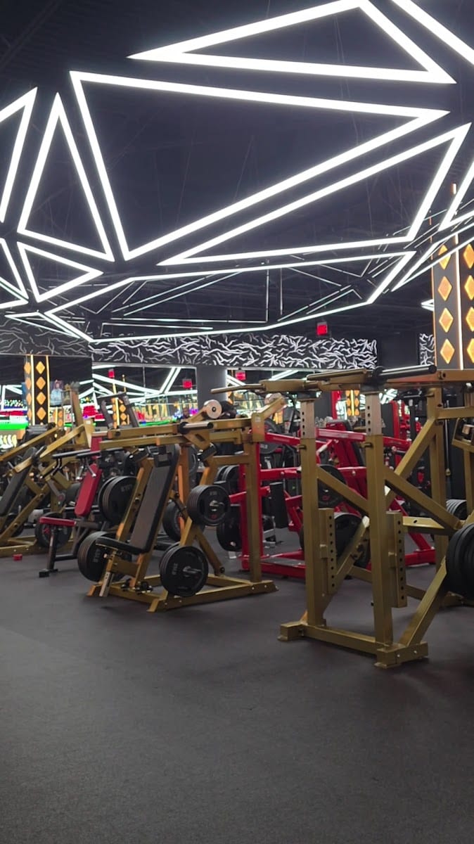 Absolute Recomp Frisco, photo 3