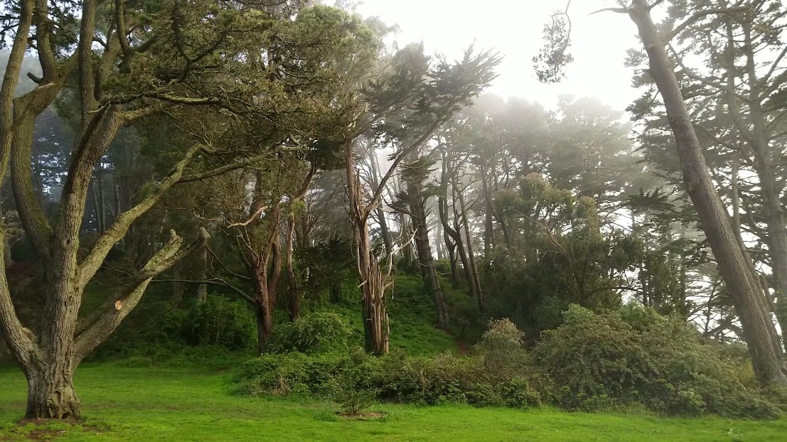 Golden Gate Heights Park, photo 2