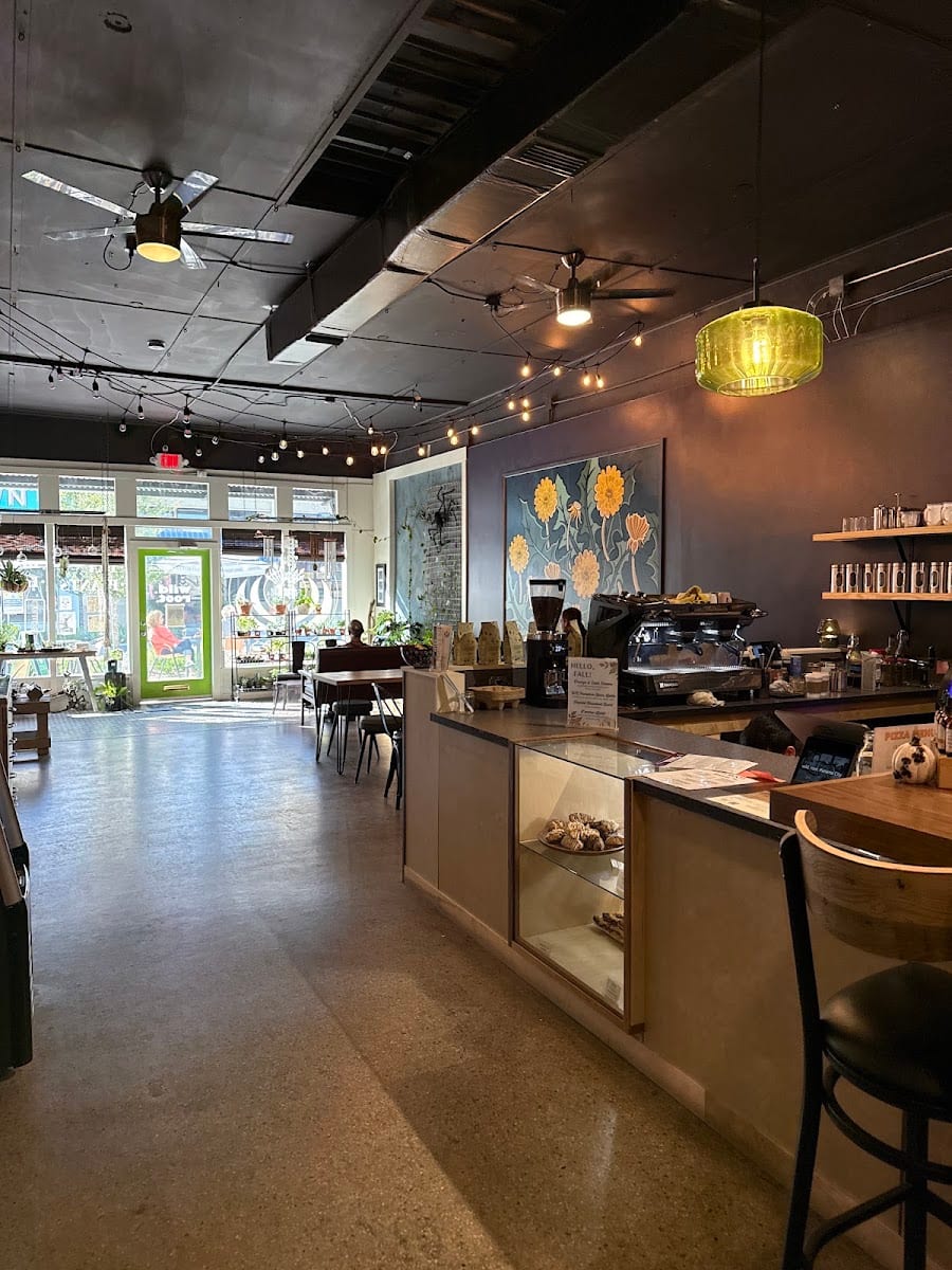 Wild Root Coffee & Tea, photo 4