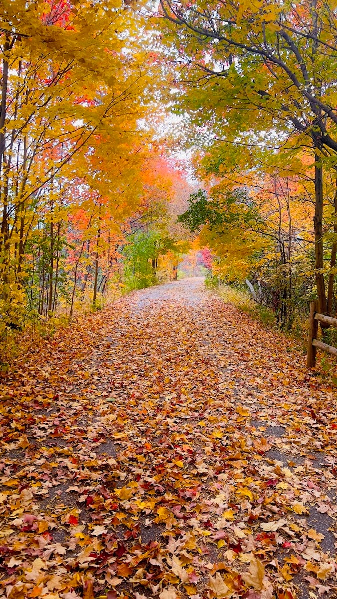 Don Mills Trail, photo 2