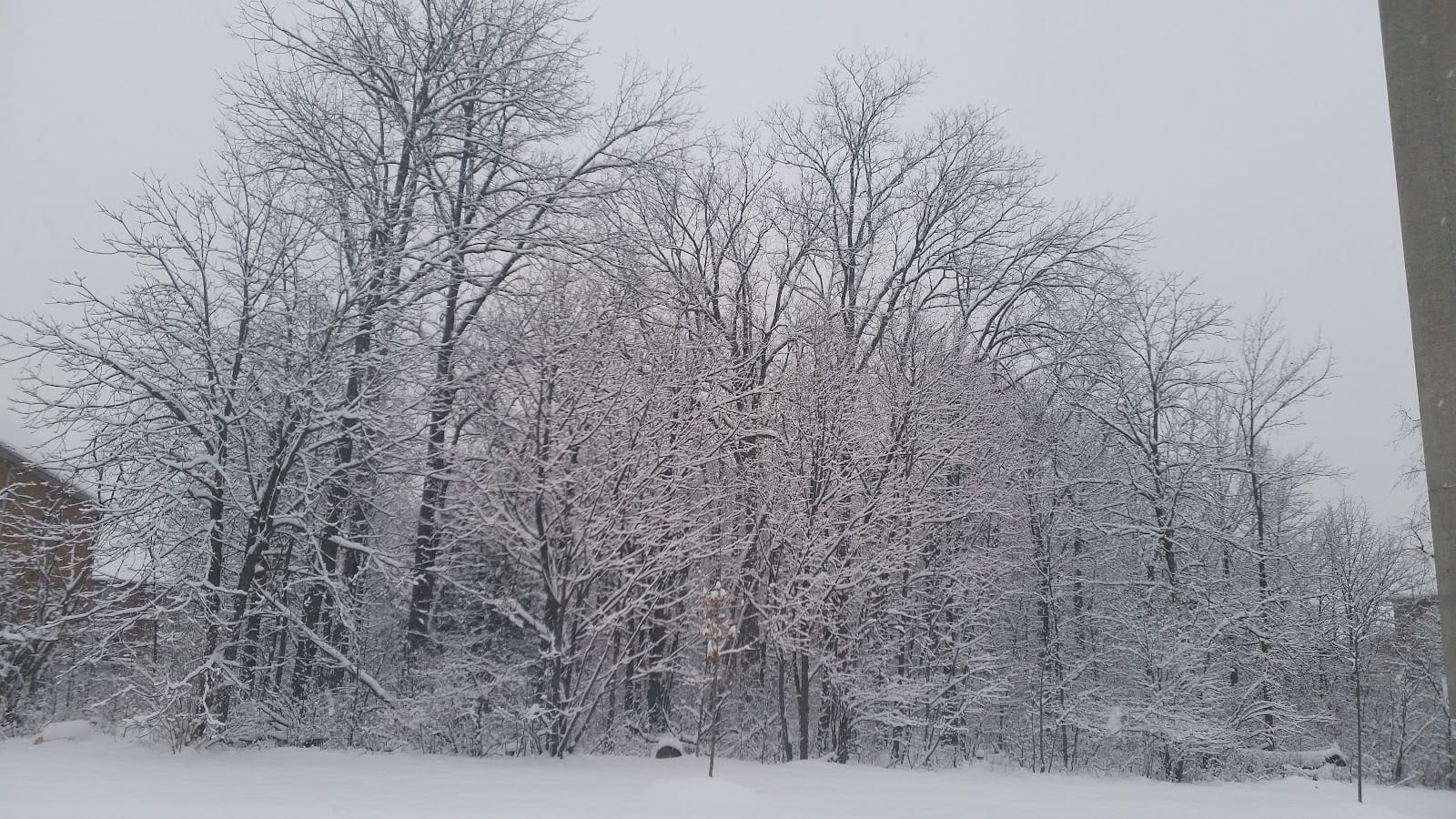 Walnut Grove Park