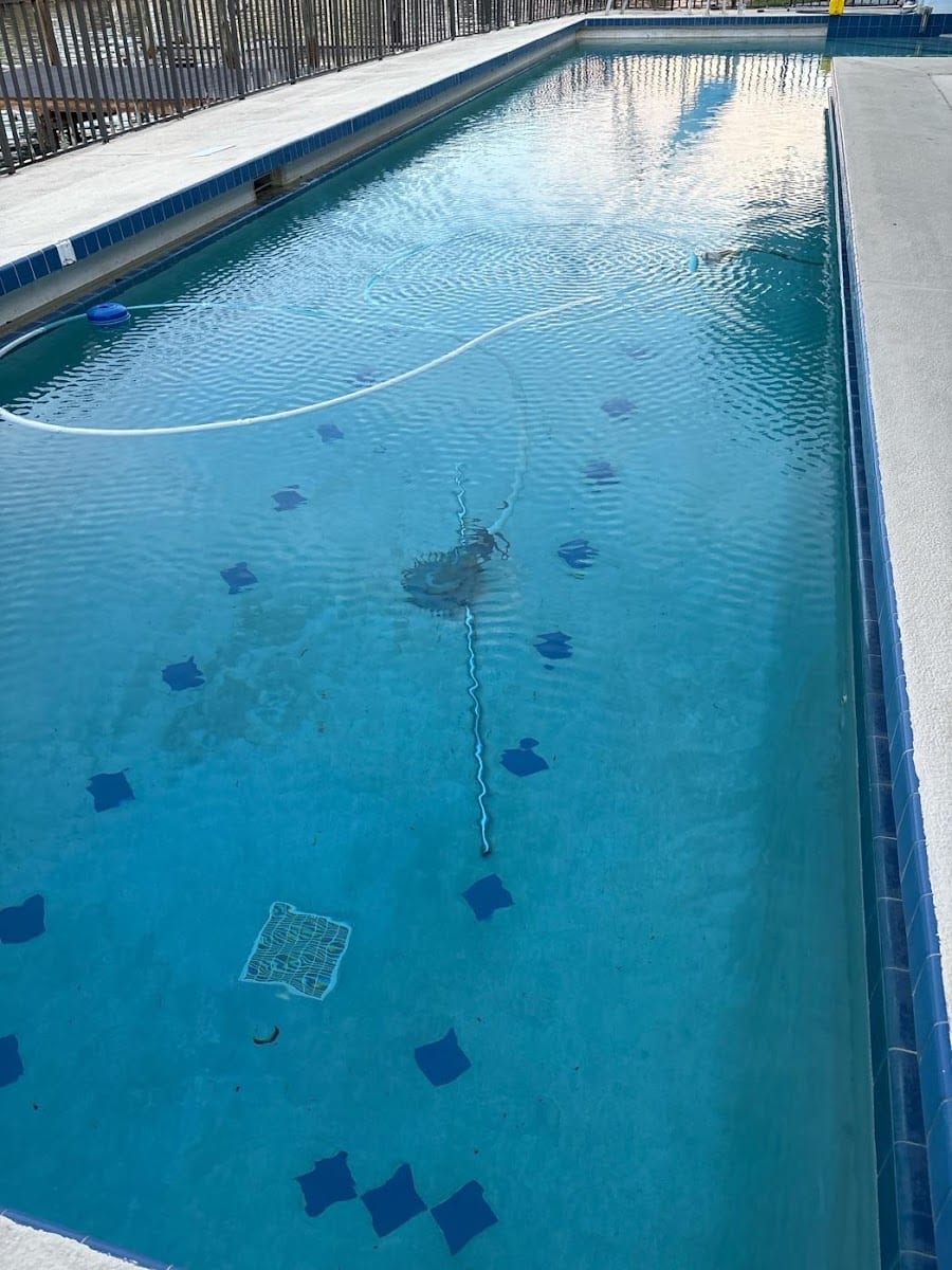 Sunny Pool Care