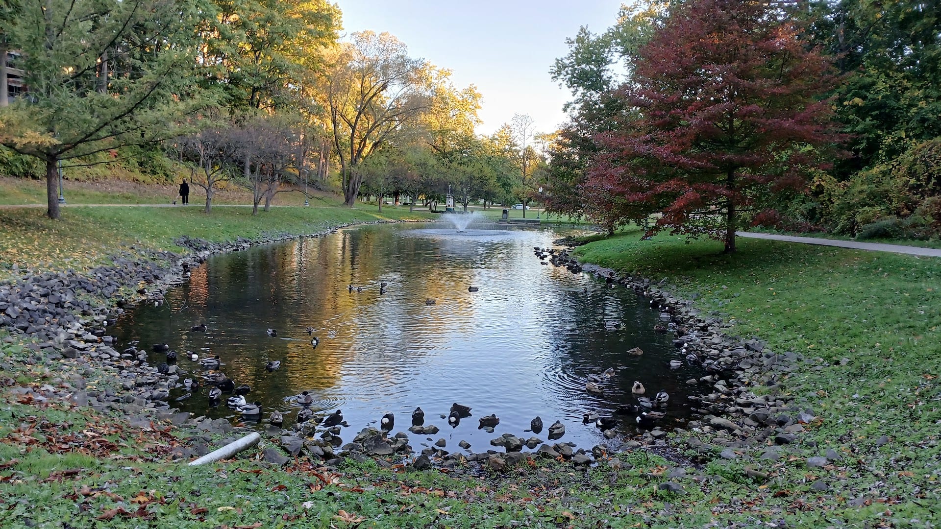 Saratoga Springs Koi Fish Pond, photo 3
