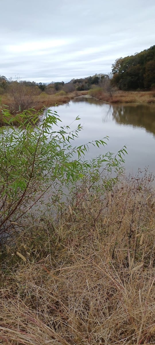 Beaverdam Creek WMA, photo 2