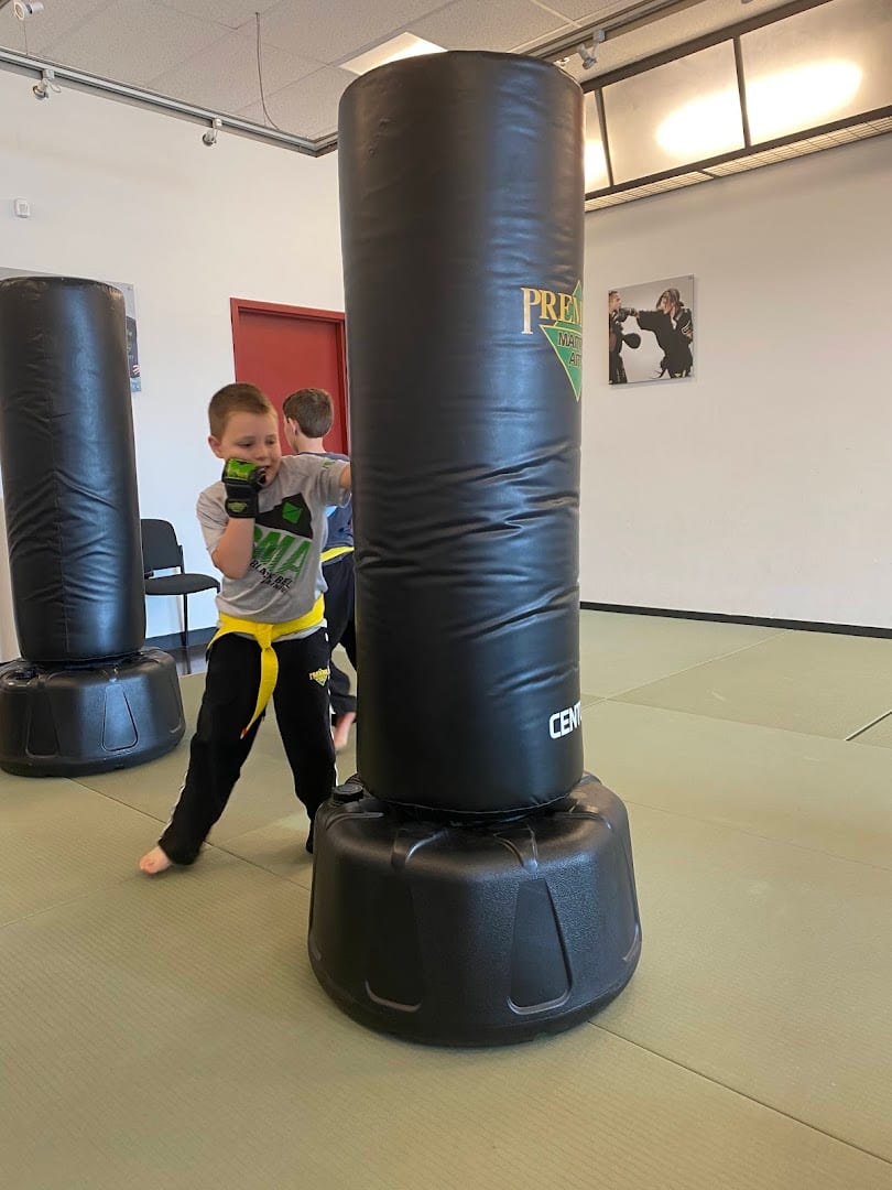 Premier Martial Arts, photo 2